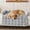 Light gray, variant on JEBTBFZE Cloud Pet Sofa Bed for Couch, Comfort Non-Slip Washable Fluffy Plush Pet for Furniture Protector for Medium & Small Dogs (Brown)