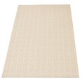 thumbnail image 4 of ECARPET Indoor/Outdoor for Balcony, Patio and Garden Villa Ivory Rug, 4 of 9