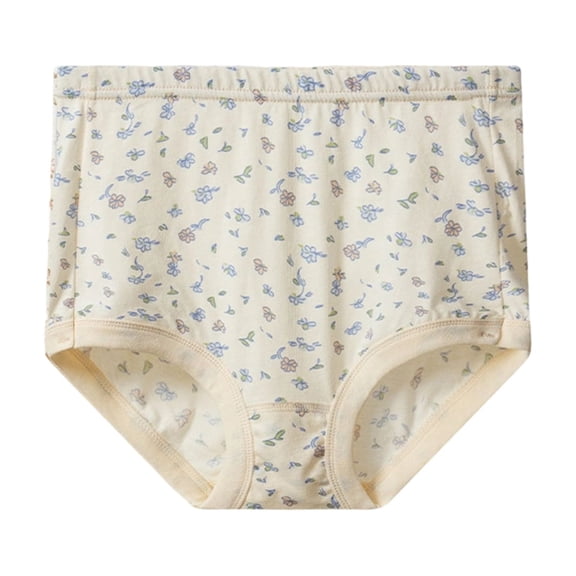 Women Extra Large Super Plus Size Women's Panties High Waist Briefs Breathable Soft Ladies Panties Complexion 2XL