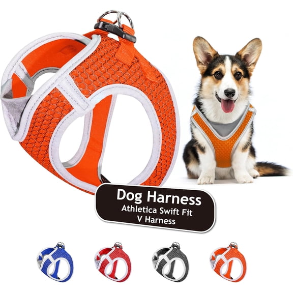 Dog Harness Adjustable Heavy Duty No Choke Puppy Vest for Small Dogs Lightweight Air Mesh, Reflective, Puppy Essentials