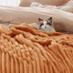 thumbnail image 4 of Manta Bedsure Queen GentleSoft Acogedora, forro polar de franela, naranja, 4 of 7