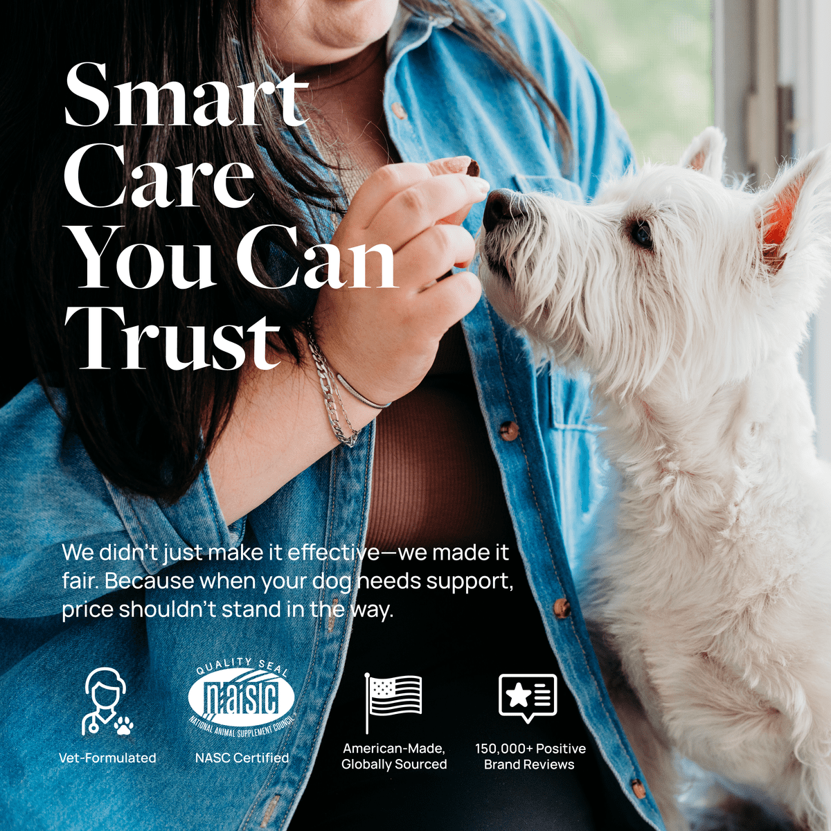 (6 pack) Veterinary Formula Smart Vitality Dental Health Supplement for Dogs, 60 Soft Chews