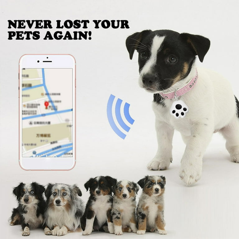 Vehicle clearance dog tracker
