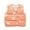Orange02, variant on LYMAYTER Infant down Vest Boys Girls Printed Warm Jacket for Kids Unisex Sleeveless Tank 3 Months-4 Years