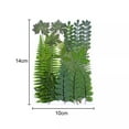 thumbnail image 4 of 21Pieces Real Dried Pressed Leaves Assorted Natural Dry Leaves Green Dry Greenery for Craft Resin Mold Leaf Art DIY Jewelry Candle Soap Making Card Scrapbook Decoration Supplies, 4 of 9
