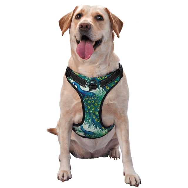 Kdxio Peacock And Flowers Print No Pull Dog Harness Adjustable Reflective Oxford Easy Control Medium Large Dog Harness for Training and Everyday-X-Large