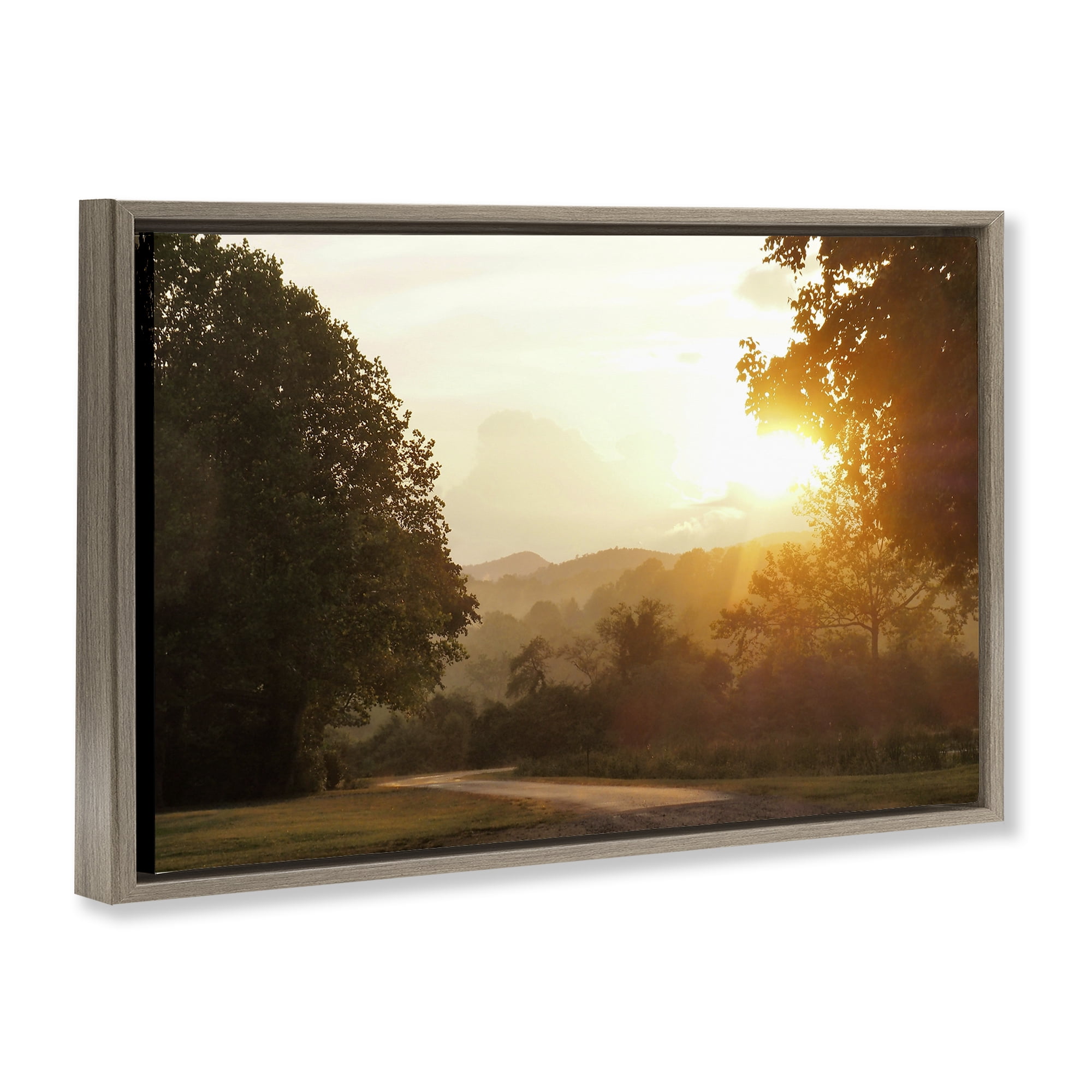 Stupell Industries Golden Morning Between Trees Brown Framed Floater Canvas Wall Art, design by Gail Peck