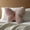 as show#2, variant on Meggemo Cute Butterfly Plush Pillow Soft Fluffy Decorative Cushion Comfortable For Sofa Bedroom Living Room Office Home Decor Relaxation And Daily Snuggling