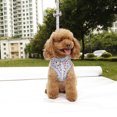 thumbnail image 2 of Mascota Perro Cachorro CHALECO suave Arnés de malla Correa Correa de pecho para caminar Collar para caminar Sunnimix  Conjunto de correa de arnés, 2 of 8