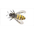 thumbnail image 1 of Bumble Bee Centered #2 Photo License Plate, 1 of 1