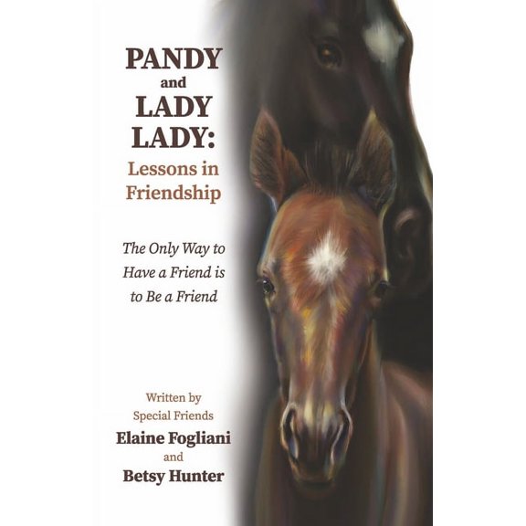 Pandy and Lady Lady : Lessons in Friendship (Paperback)