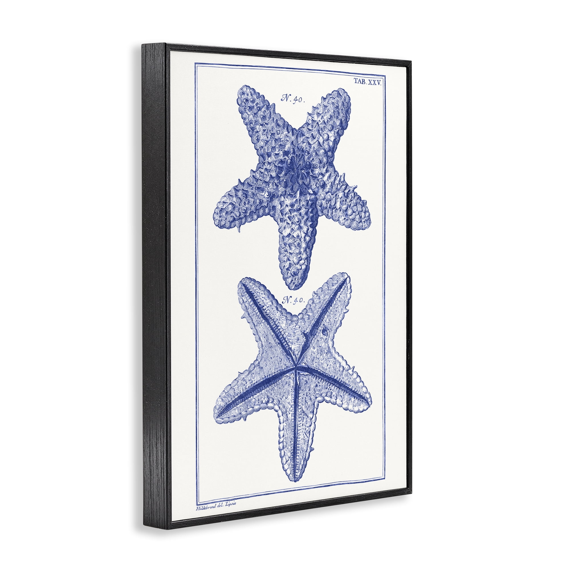 Stupell Industries Blue Starfish Studies Animals & Insects Painting Black Framed Art Print Wall Art, 12 x 18