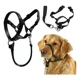 thumbnail image 5 of Collar De Cabeza De Perro Halter Para Perros Con Bozal, 5 of 8