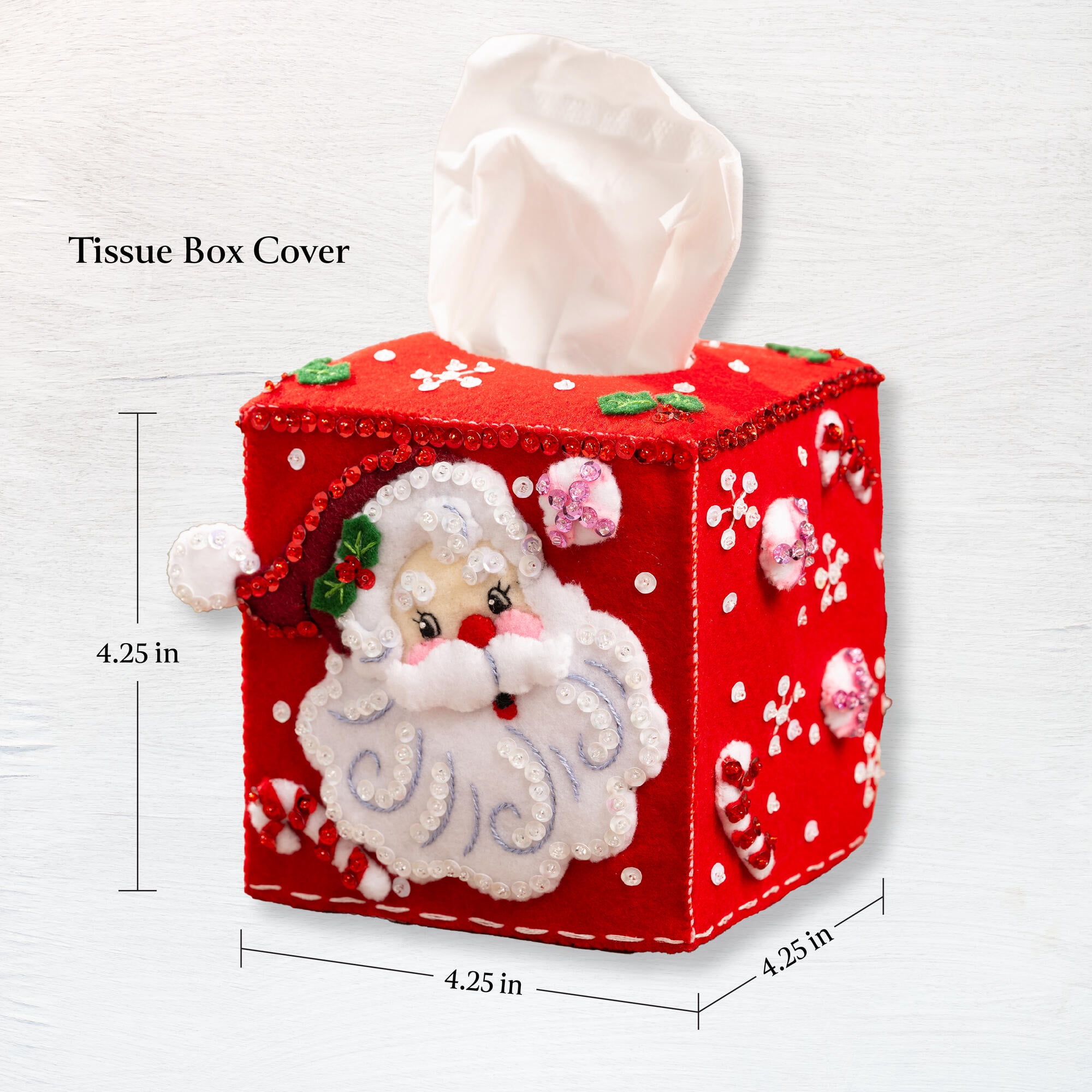 Bucilla Jolly St. Nick Felt Applique Tissue Box Cover Kit, 4.5 x 4.5 x 4.5 in