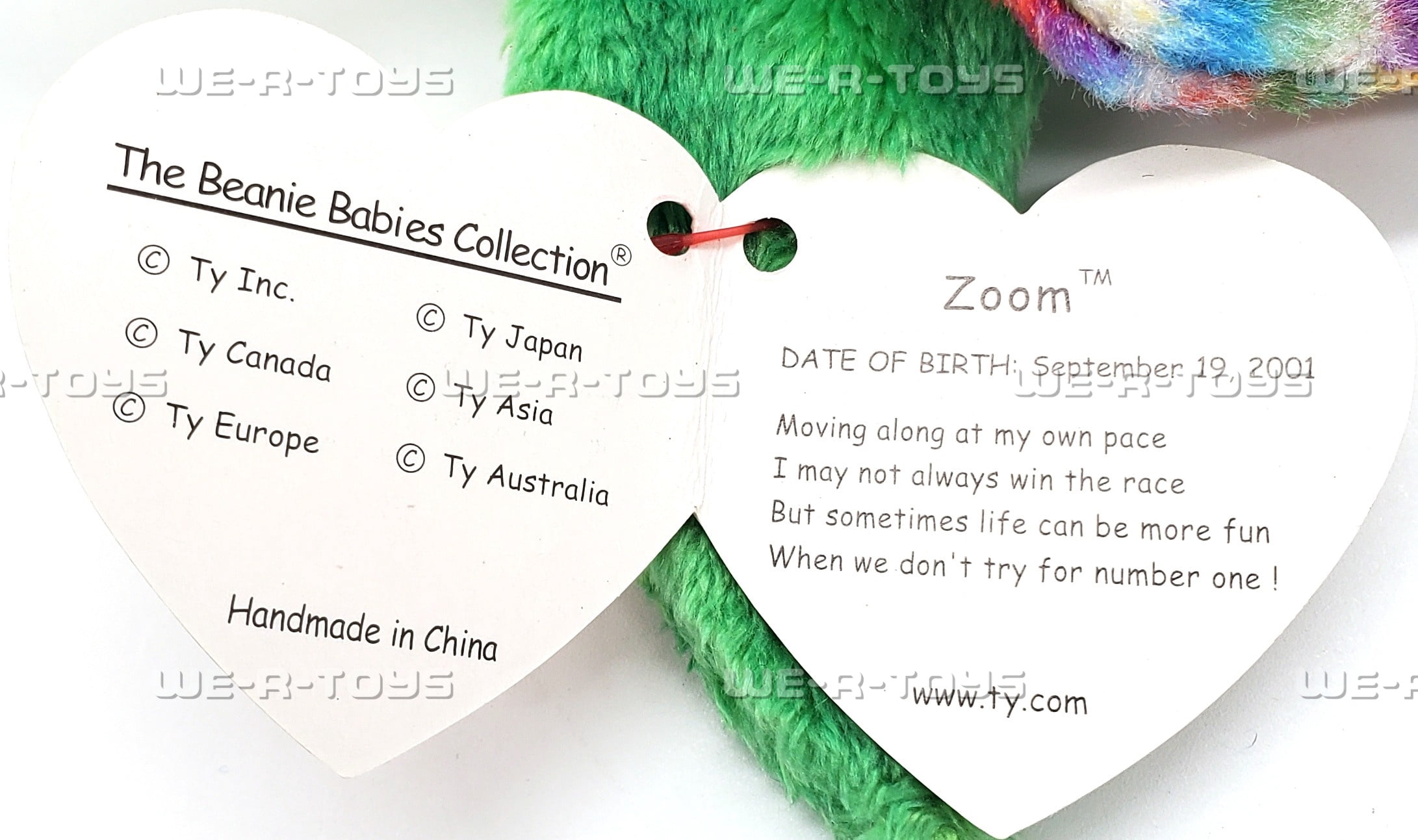 Beanie Babies, Stuffed Animal, Zoom the Turtle, Mint with Mint