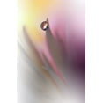 thumbnail image 2 of Nan, Juliana 23x32 Gold Ornate Wood Framed with Double Matting Museum Art Print Titled - Abstract Illusion.., 2 of 4