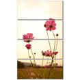 thumbnail image 2 of Blooming Cosmos Flower Field - Floral Canvas Art Print, 2 of 3