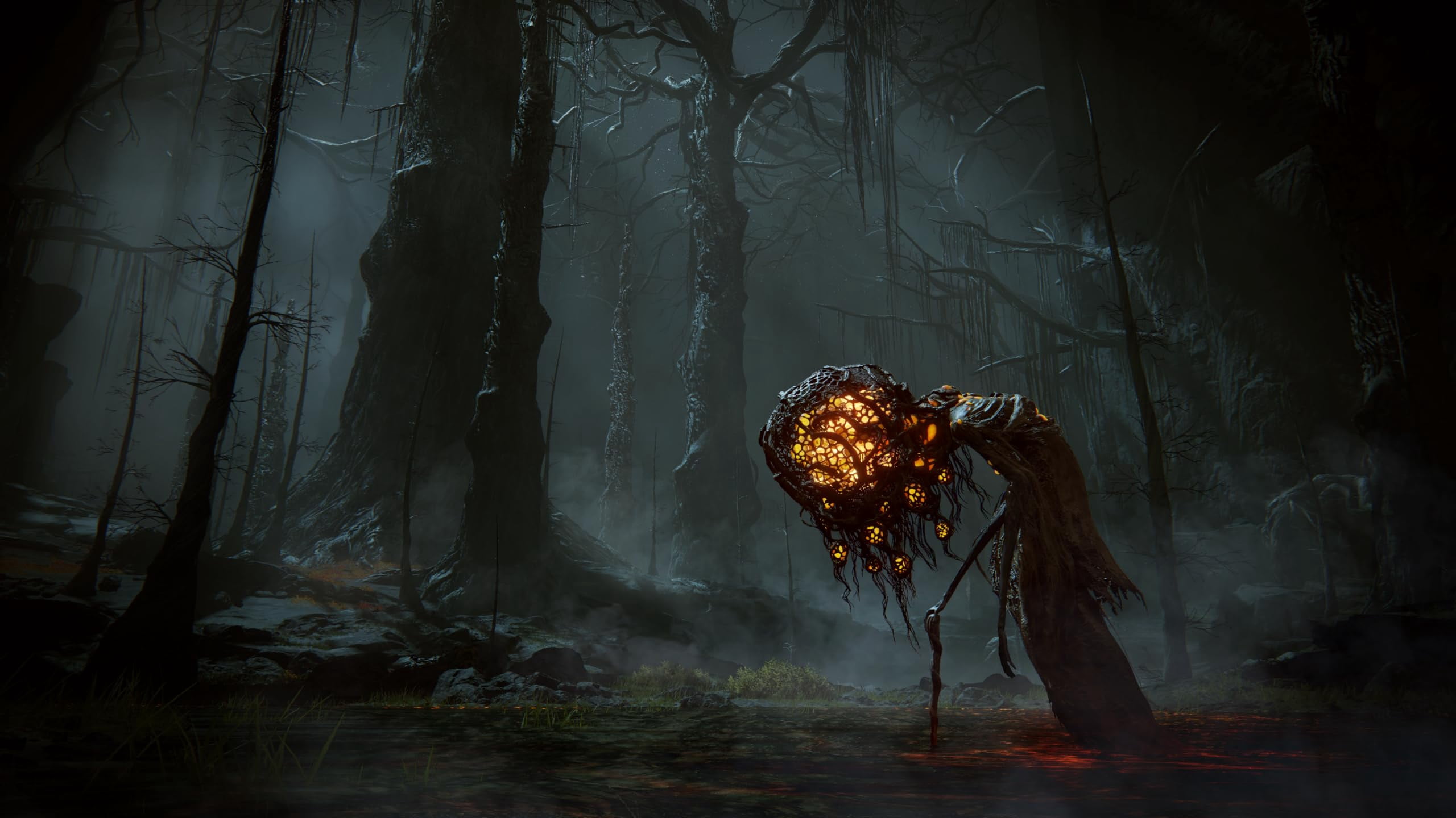 ELDEN RING Shadow of the Erdtree Edition, PlayStation 5