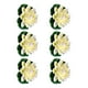 thumbnail image 1 of Bewildely Loto artificial no tóxico apto para mascotas de 6 piezas para decoración de estanque hipoalergénico, amplia aplicación Decoración Blanco, 1 of 6