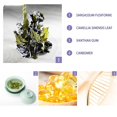 thumbnail image 4 of 5 uds. Máscara de té verde para la nariz con espinillas, Control de aceite, barro, poros, reparación de la salud, eliminación de pecas, máscara de manchas oscuras, crema blanqueadora kaili Sencillez, 4 of 5