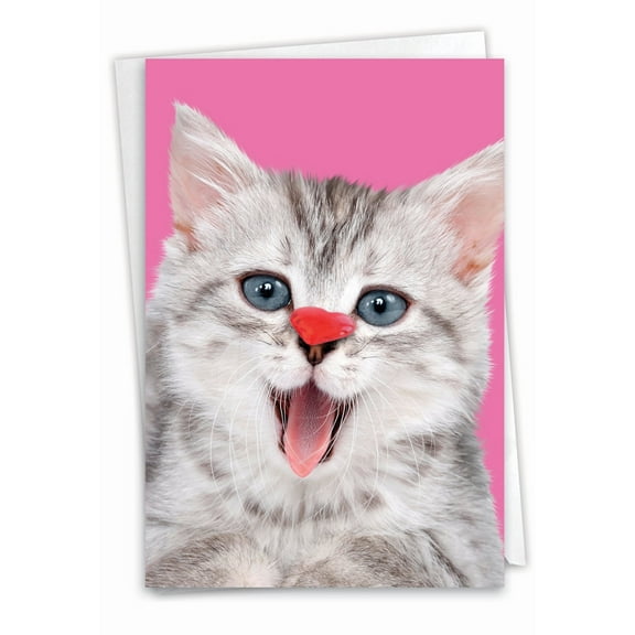 NobleWorks Birthday Paper Card with 5 x 7 Inch Envelope (1 Card) Bday Heart Cats C9266JBDG