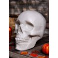 thumbnail image 4 of Oversized Skull Lantern Decoration, 4 of 11