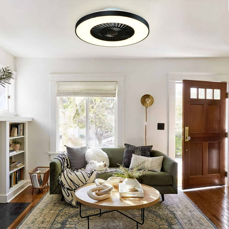 DingLiLighting Ceiling Fan with Light Modern Bladeless Ceiling Fan