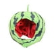 thumbnail image 1 of Sombrero De Sandía, Tocado De Frutas, Tocado, Cubierta Para La Cabeza, Duradero Para Navidad Sunnimix Sombrero de sandía, 1 of 8