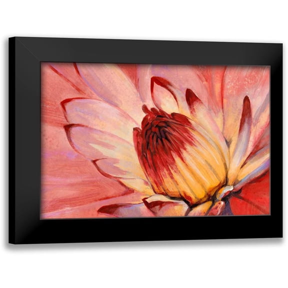 OToole, Tim 14x11 Black Modern Framed Museum Art Print Titled - Micro Floral I