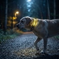 thumbnail image 7 of Waterproof LED Dog Collar with Reflective Strip – Glow in The Dark Night Light Pet Safety Collar,Heavy Duty Nylon Adjustable Fit for Small Medium Large Dogs Yellow, 7 of 7