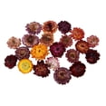 thumbnail image 2 of Flores Secas Prensadas 20 Secado Natural para Las Tarjetas arte DIY de La Joyería de, 2 of 8