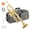 Golden, variant on Eastar Trumpet Set for Students Beginner Bb Standard Brass Instrument School Band Gold, with Case