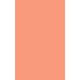 thumbnail image 4 of London Penny Premium Wrapping Paper - Light Salmon, 4 of 4