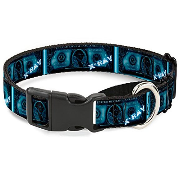 Buckle-Down $1 Bill X-Ray Martingale Dog Collar