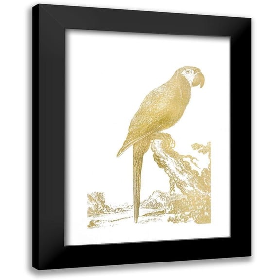 Edwards 11x14 Black Modern Framed Museum Art Print Titled - Gold Foil Parrot I
