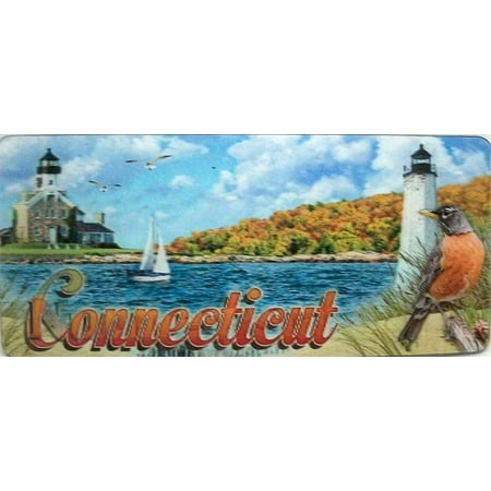 

Connecticut The Nutmeg State 3D Fridge Magnet