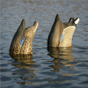 Greenhead Gear Pro Grade Duck Decoy Mallards Butt Up Feeder Pack
