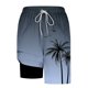 thumbnail image 4 of Ceisia Men's Palm Tree Print Loose Fit Quick Dry Beach Shorts with Inner Lining Light Blue M Gifts, 4 of 5