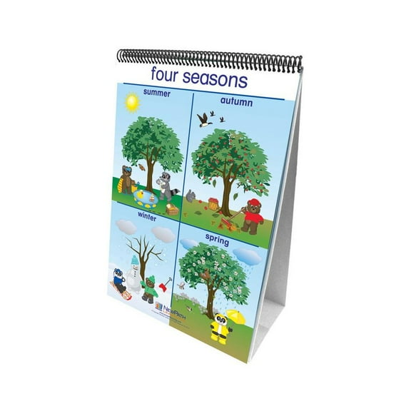NewPath Learning Early Childhood Science Readiness Flip Charts, Weather & Sky