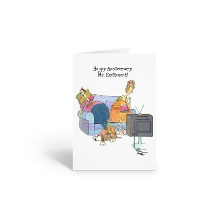 Stonehouse Collection | Funny Anniversary Card | “Happy Anniversary, Mr. Excitement” | Humorous Card for Couples, Husband, Wife, or Friends