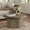 Gray Alder, variant on SICOTAS 31.5" Round Fluted Coffee Table for Living Room, Modern Cloud Coffee Table with Spacious Tabletop, Art Deco Sturdy Circle Coffee Table, White Alder