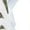 white-style-2, variant on 2024 Seashell On The Beach Women Or Men Lace Up Flat Sneakers Female Mesh Walking Footwear