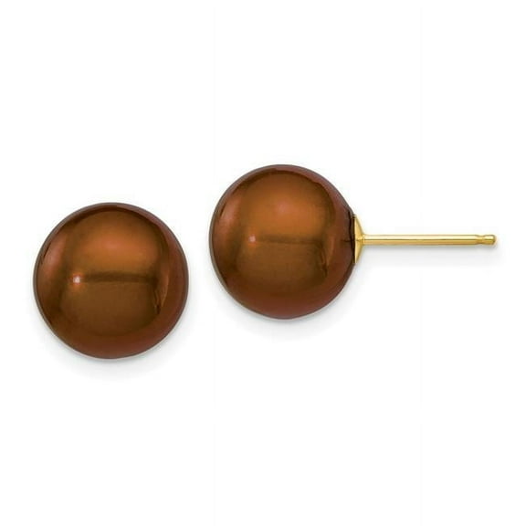 Primal Gold 14 Karat Yellow Gold 10-11mm Coffee Round Freshwater Cultured Pearl Stud Post Earrings