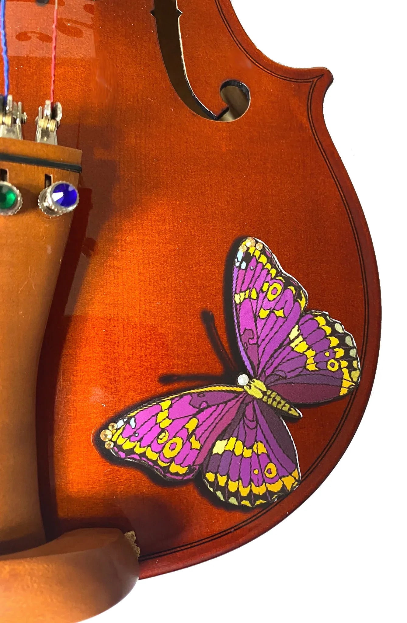 Rozanna's Violins Butterfly Dream Bejeweled Violin Outfit 1/10