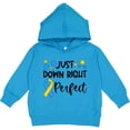 thumbnail image 2 of Inktastic Just Down Right Perfect Down Syndrome Awareness Ribbon Toddler Hoodie, 2 of 4