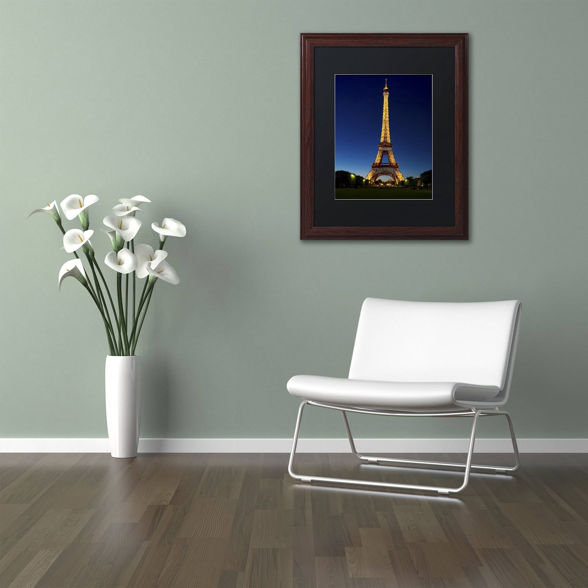 Trademark Fine Art "Evening Light Show" Canvas Art by Michael Blanchette Photography Black Matte, Wood Frame