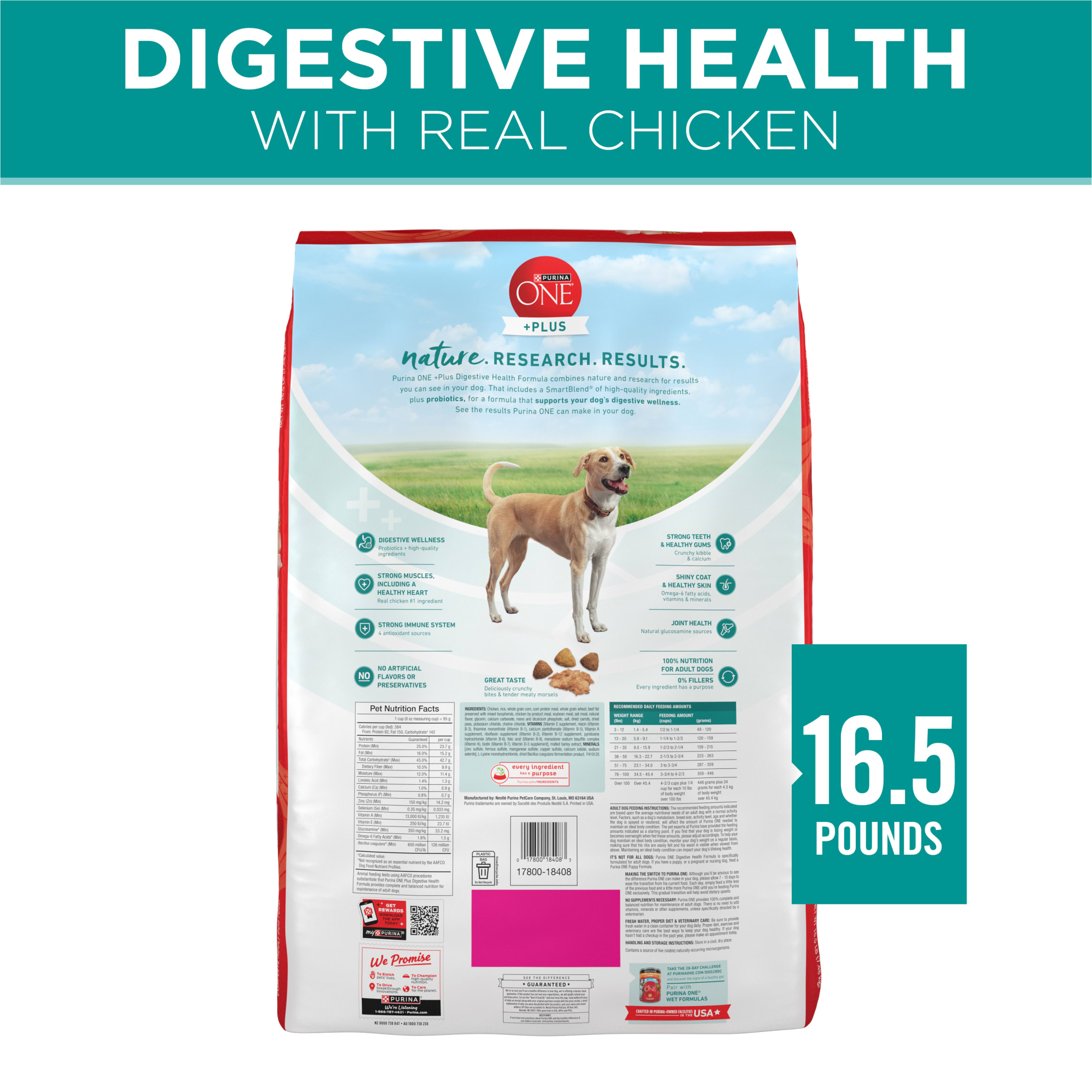 Purina One Plus Digestive Health Chicken & Rice Dry Dog Food, 16.5 lb photo 7