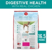 Purina ONE Plus Dry Dog Food Digestive Health, High Protein Natural Chicken & Rice, 16.5 lb Bag