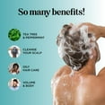 thumbnail image 5 of Tea Tree Shampoo - Maple Holistics Clarifying Shampoo for Build Up and Flakes with Peppermint Oil and Tea Tree Essential Oil for Dry Scalp- Deep Cleansing Tea Tree Mint Shampoo for Oily Hair 8 fl oz, 5 of 7