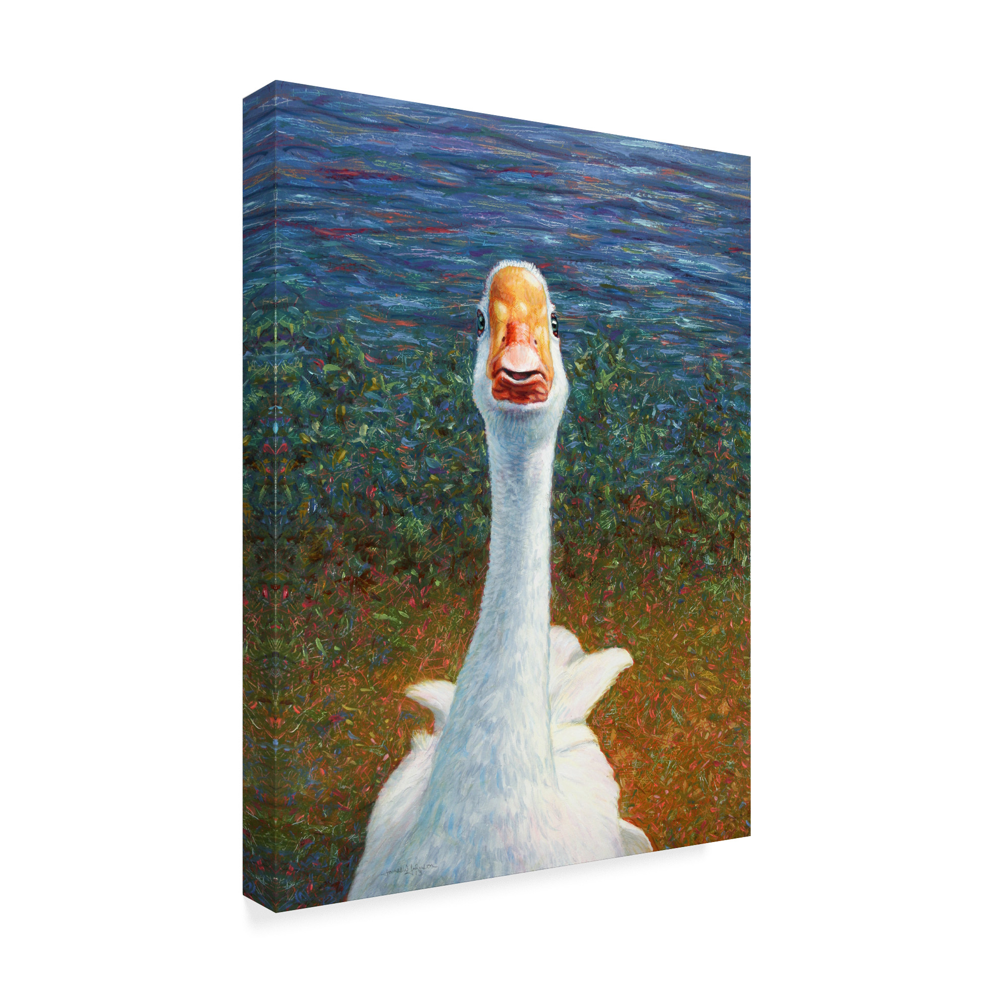 Trademark Fine Art 'Goose' Canvas Art by James W. Johnson